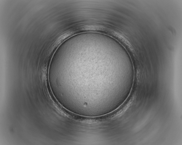 X0000112981033200909101710