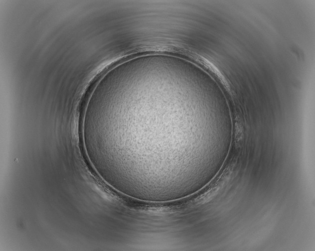 X0000112981035200909101710