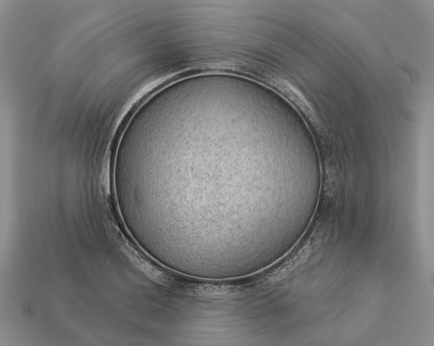 X0000112981036200909101710