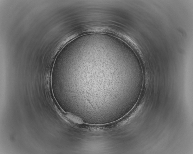 X0000112981041200909101710