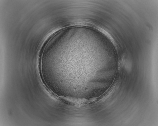 X0000112981043200909101710