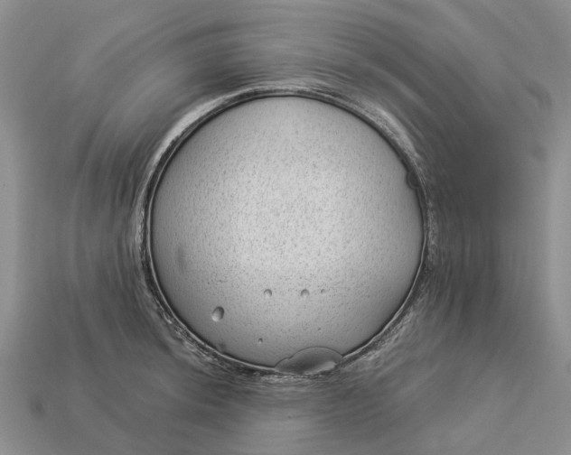 X0000112981044200909101710