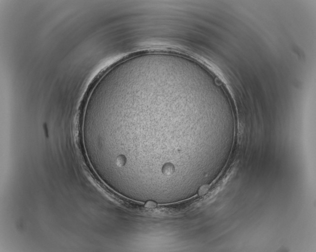 X0000112981045200909101710