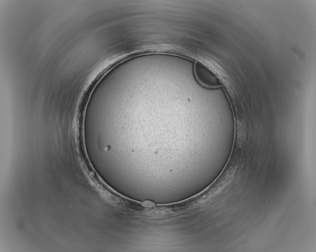 X0000112981046200909101710