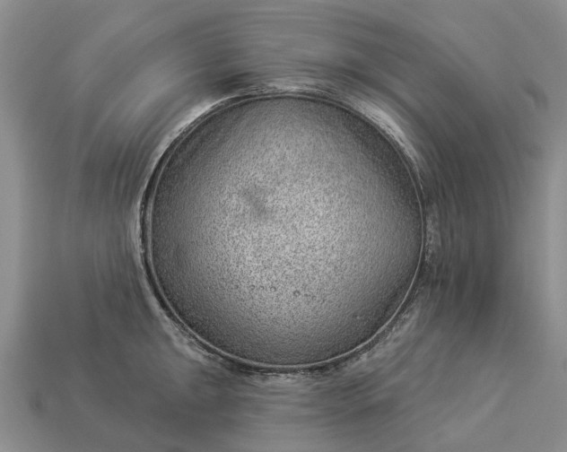 X0000112981047200909101710