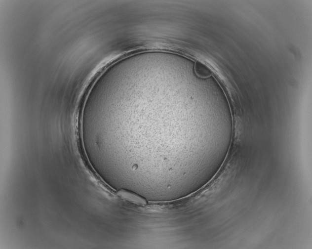 X0000112981048200909101710