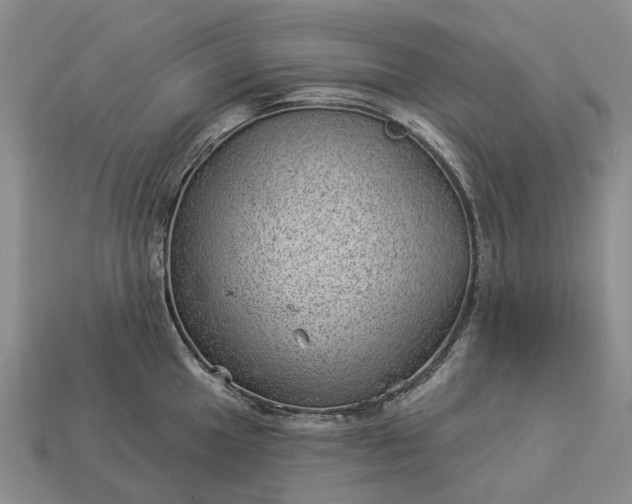 X0000112981049200909101710