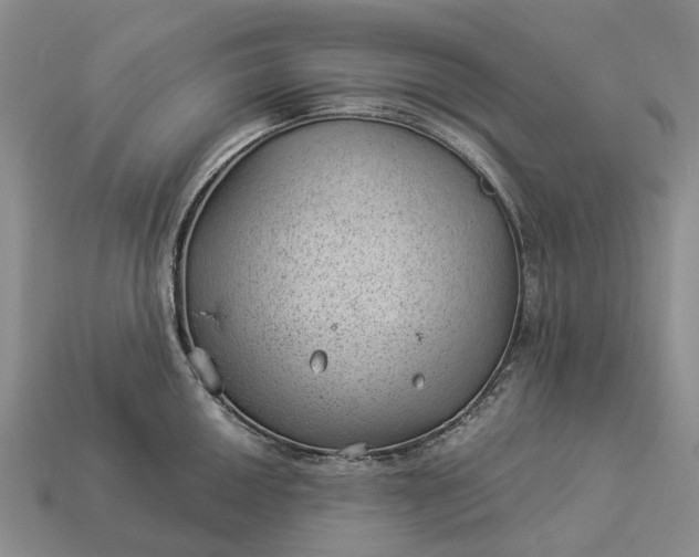 X0000112981050200909101710