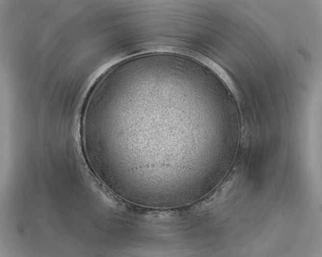 X0000112981051200909101710