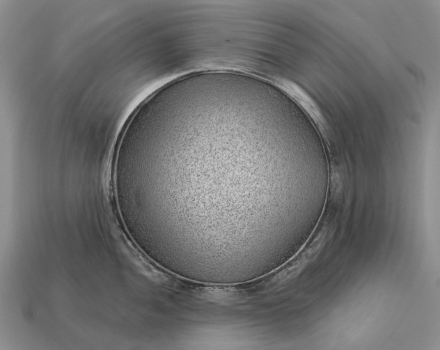 X0000112981052200909101710