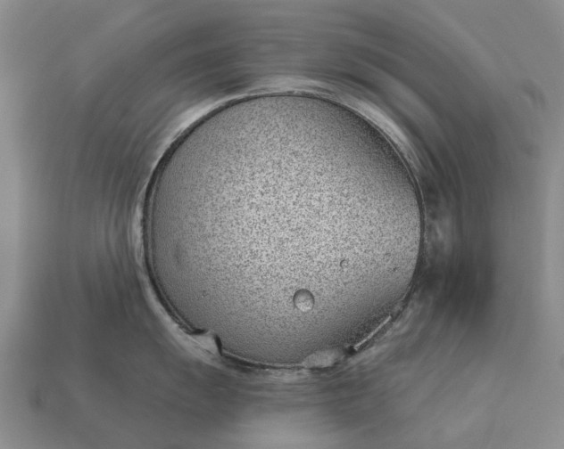 X0000112981055200909101710