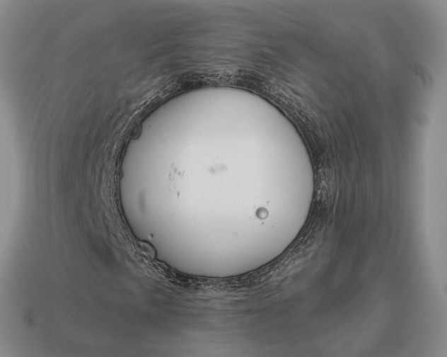 X0000112981057200909101709