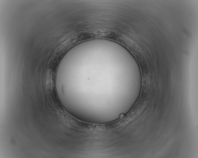 X0000112981058200909101709