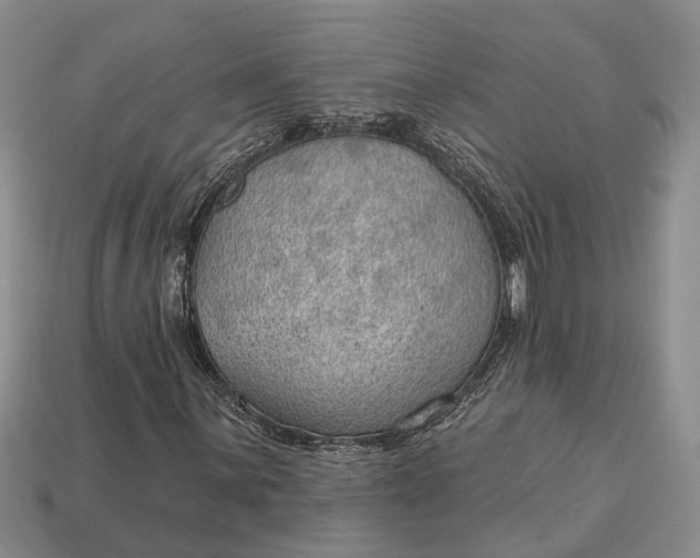 X0000112981059200909101709