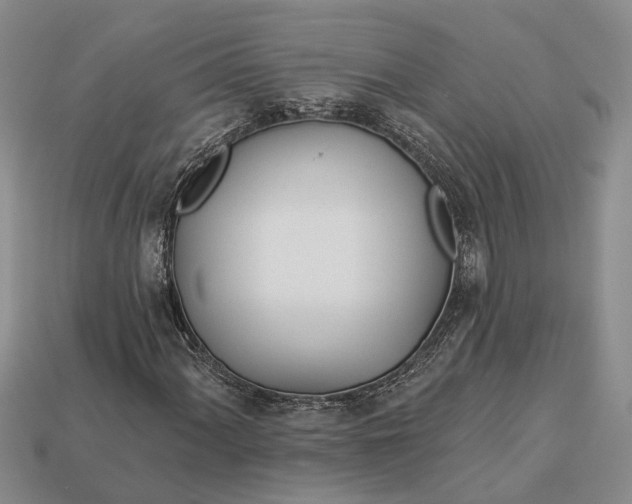 X0000112981060200909101709