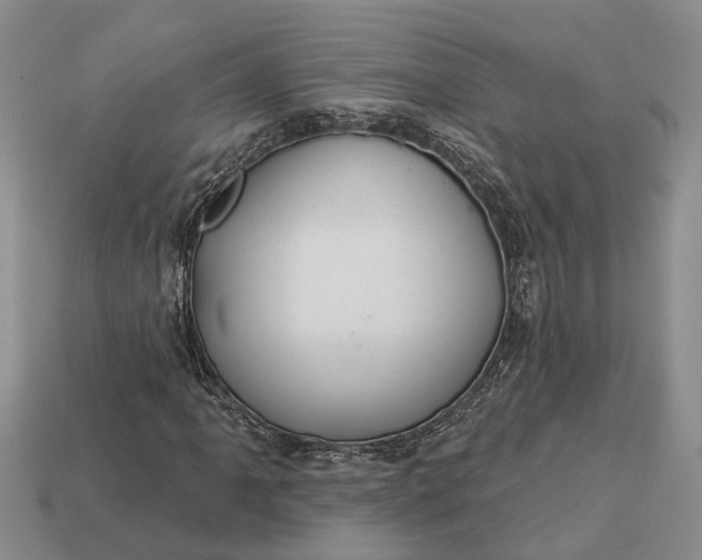 X0000112981061200909101709