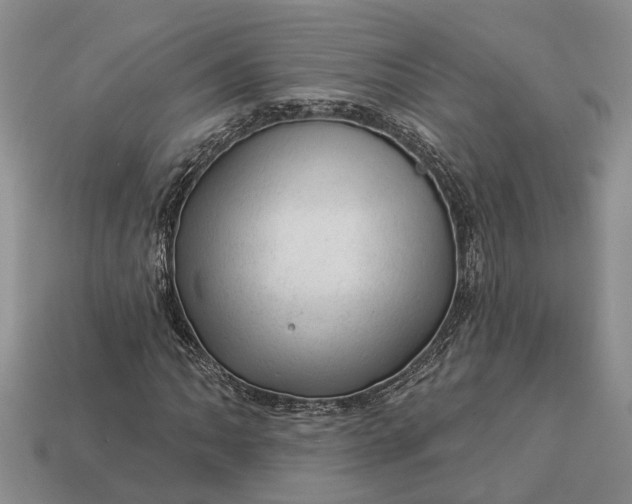 X0000112981062200909101709