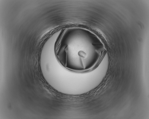 X0000112981064200909101709