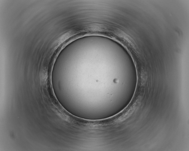 X0000112981065200909101709