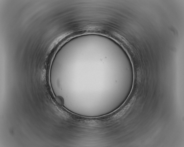 X0000112981066200909101709