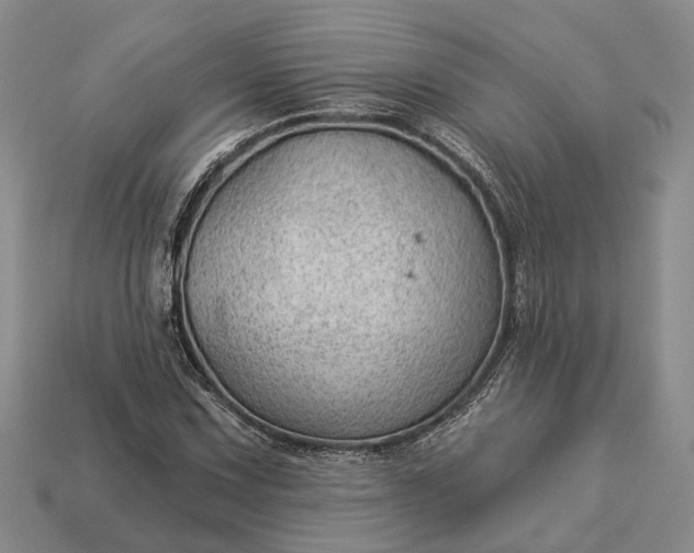 X0000112981067200909101709