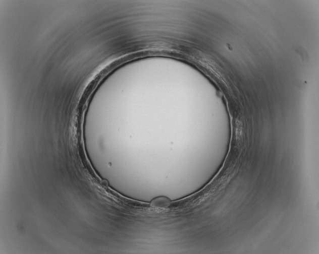 X0000112981068200909101709