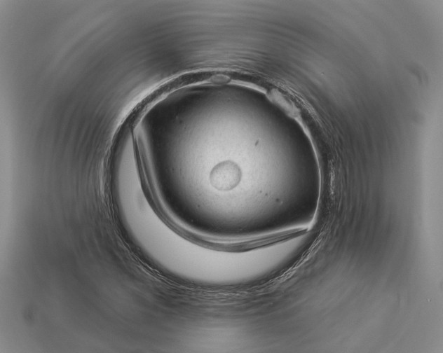 X0000112981069200909101709