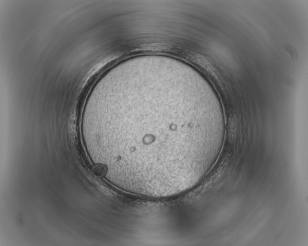 X0000112981071200909101709