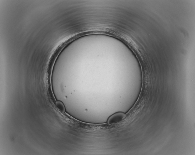 X0000112981072200909101709