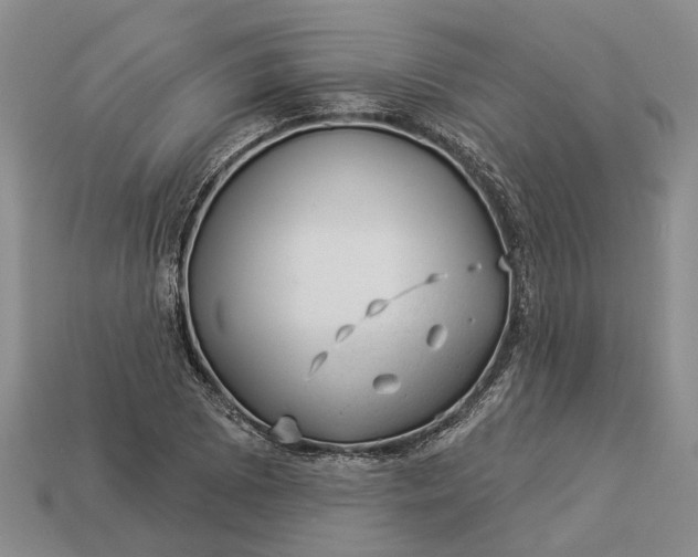 X0000112981073200909101709