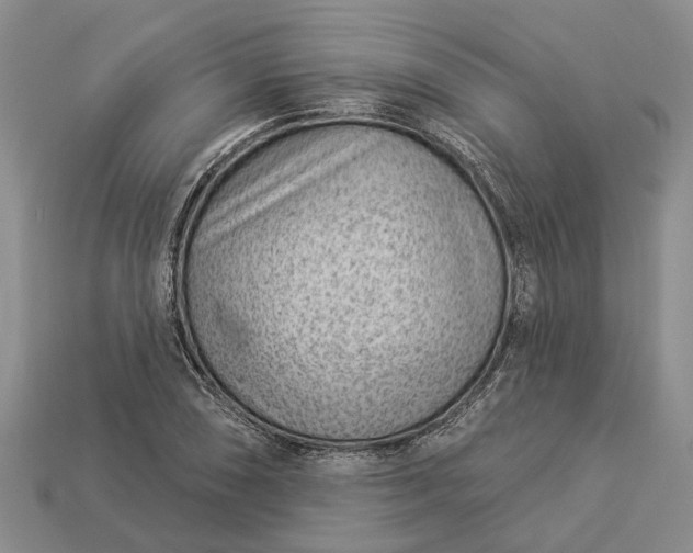 X0000112981074200909101709