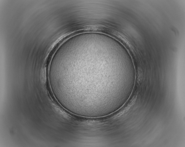 X0000112981075200909101709