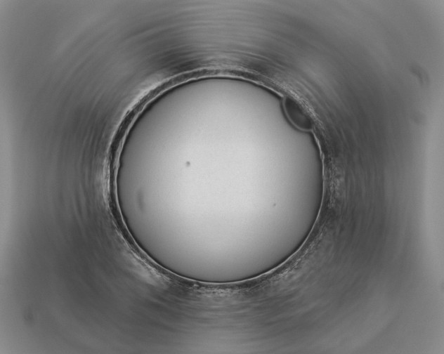 X0000112981076200909101709