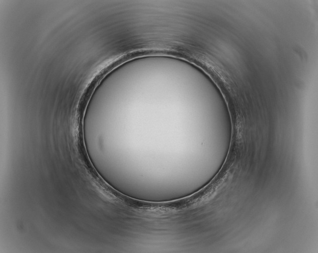 X0000112981077200909101709