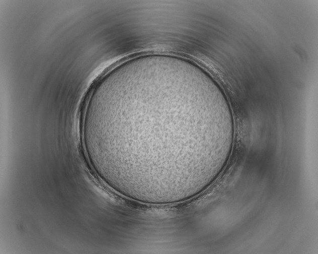 X0000112981078200909101709