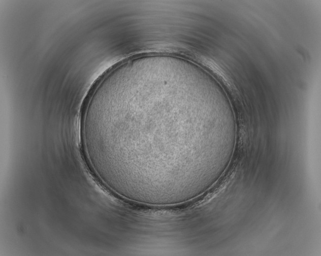 X0000112981079200909101709