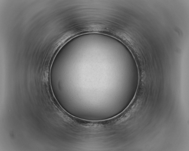 X0000112981081200909101709