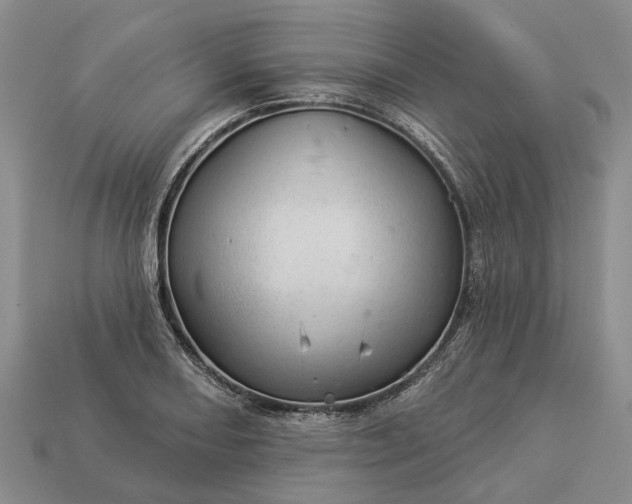 X0000112981082200909101709