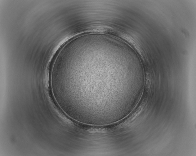 X0000112981083200909101709