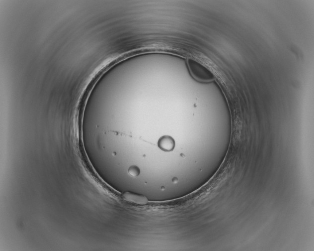 X0000112981084200909101709