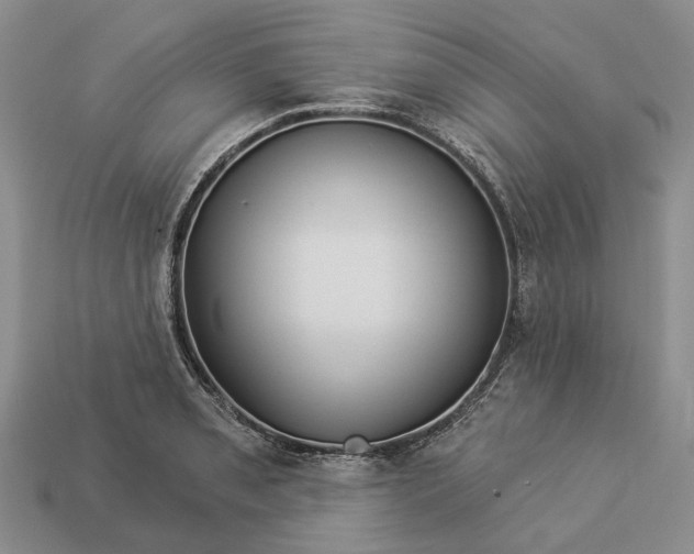 X0000112981085200909101709