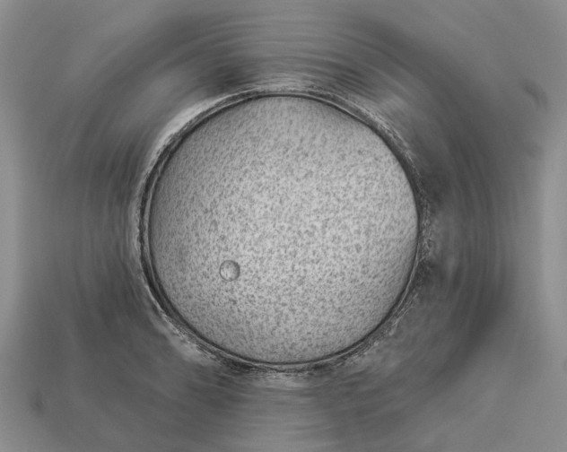 X0000112981086200909101709