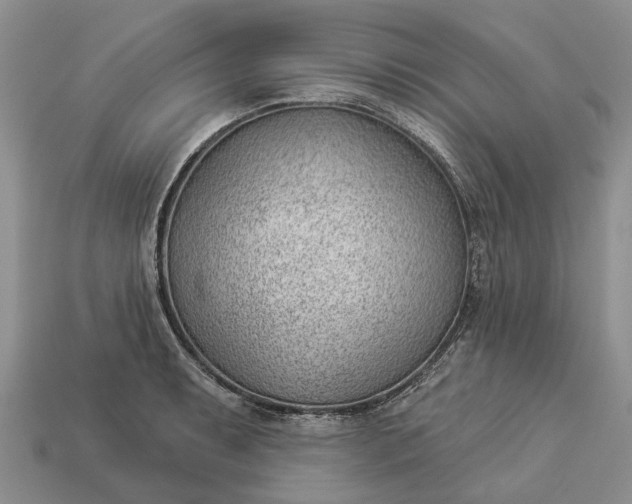 X0000112981087200909101709