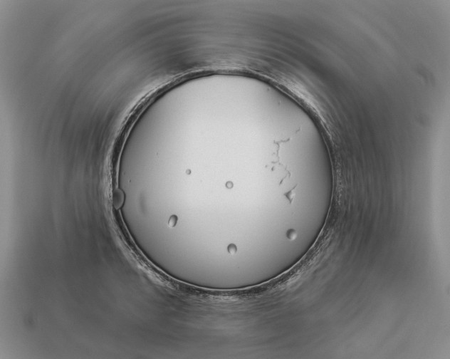 X0000112981088200909101709