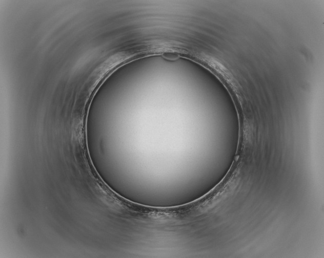 X0000112981089200909101709