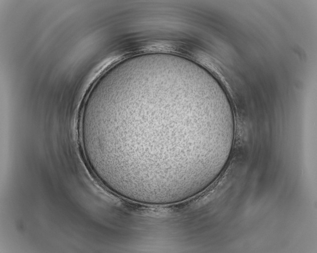 X0000112981090200909101709