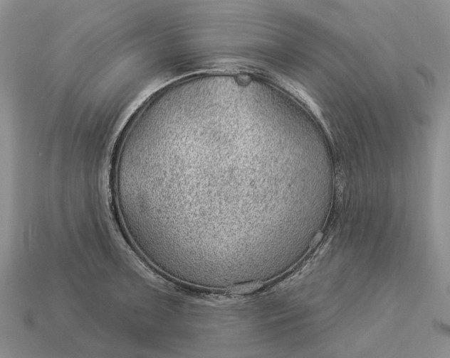 X0000112981091200909101709