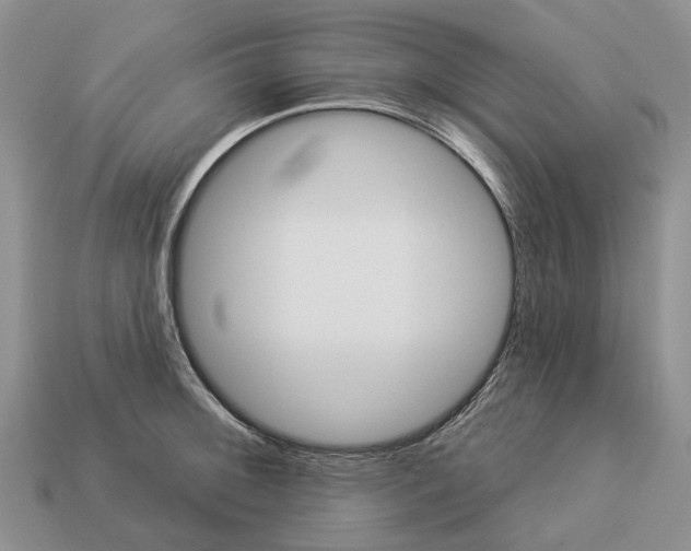 X0000112981092200909101709