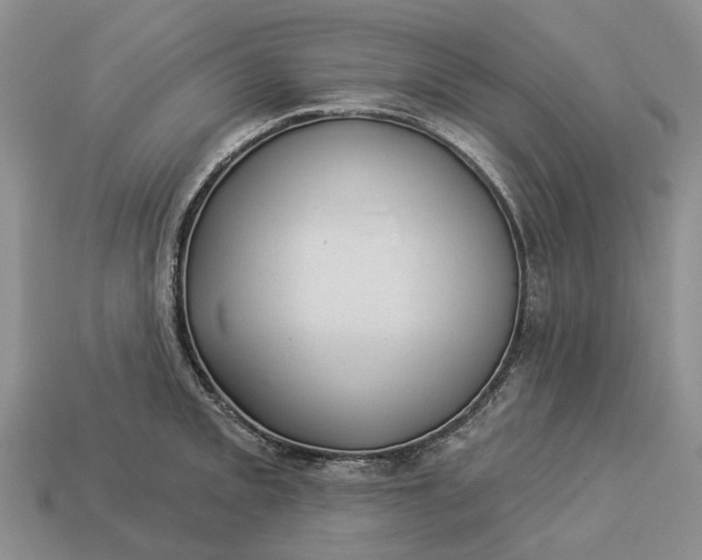 X0000112981093200909101709