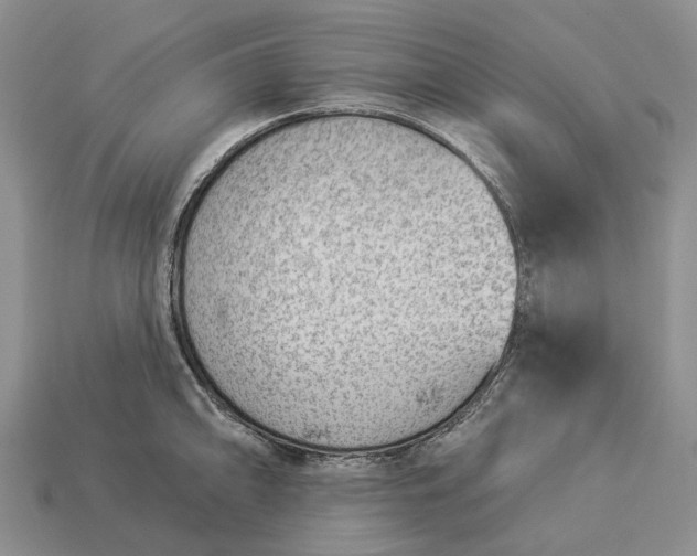 X0000112981094200909101709